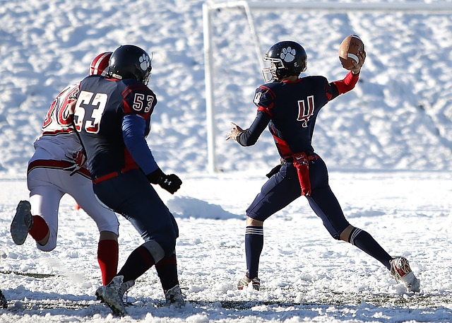 术家所展示 术家所展示