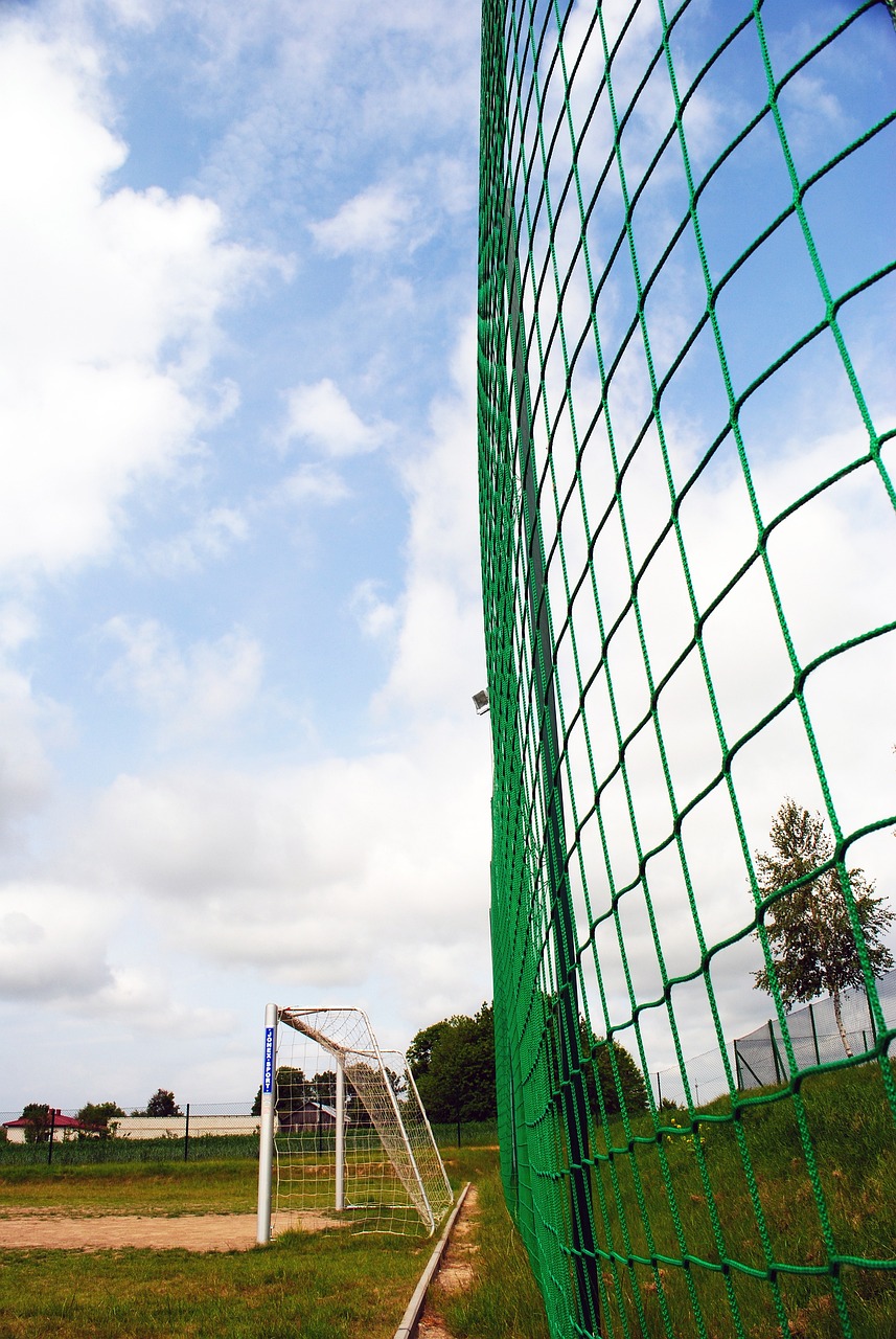 下来的赛季 下来的赛季